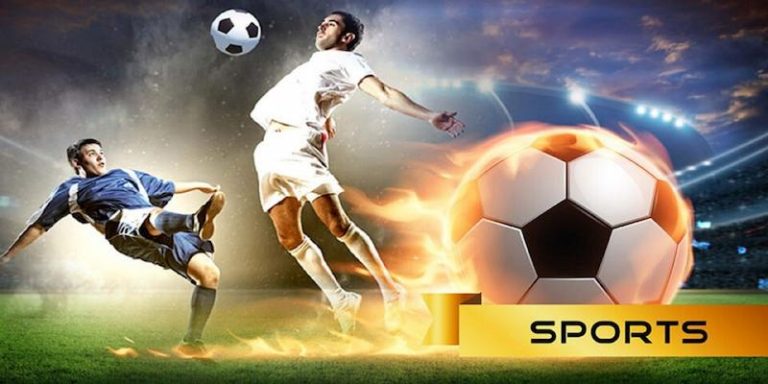 544bet Descubra o vibrante mundo dos esportes online em